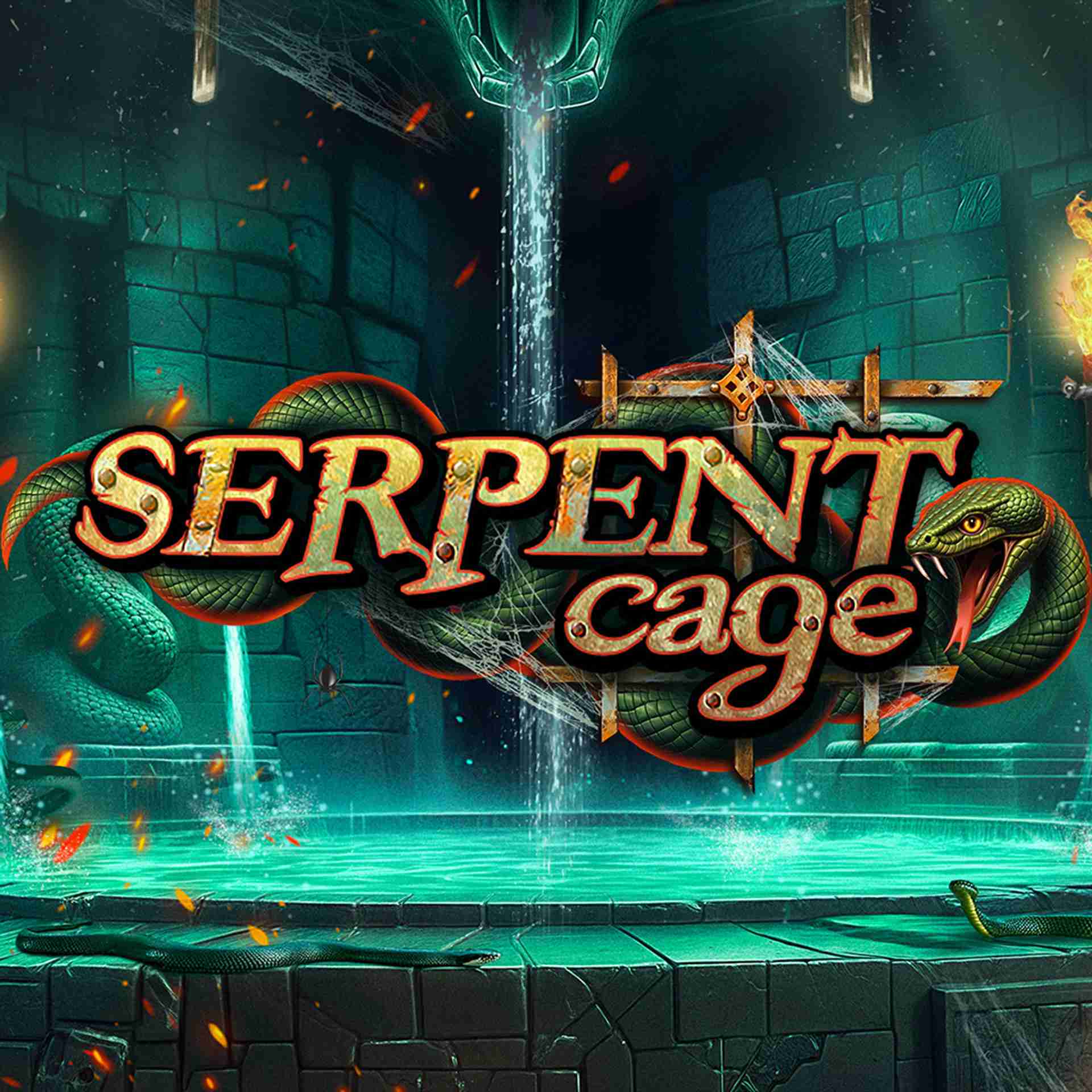 56d. com é confiável